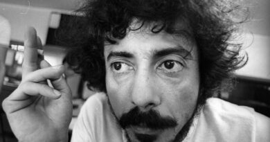 O genial estudo do pagode de Tom Zé